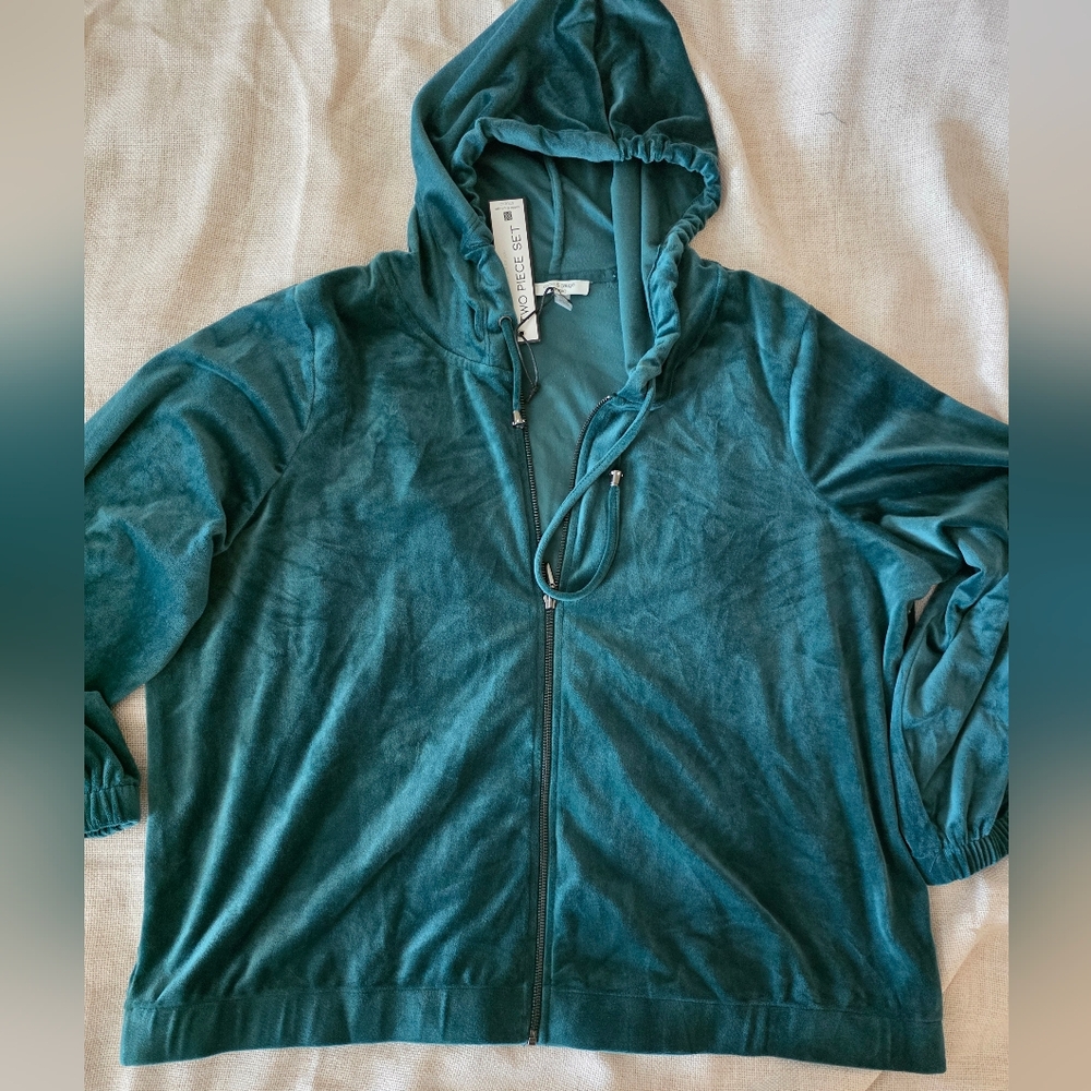 Cable & Gauge Botanical Garden Green Velour Hoodie Jogger Set, Size 2X - Picture 1 of 9
